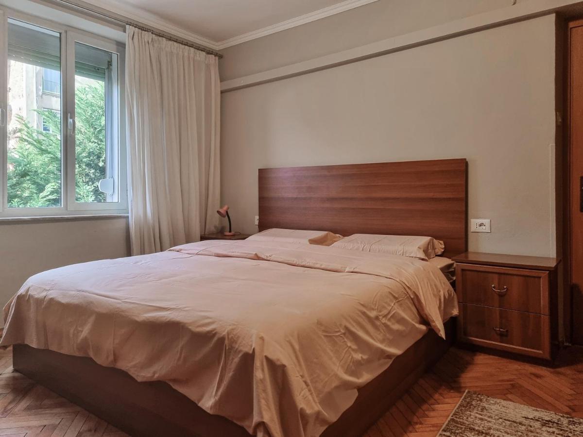 Center Cozy Daire Tiran